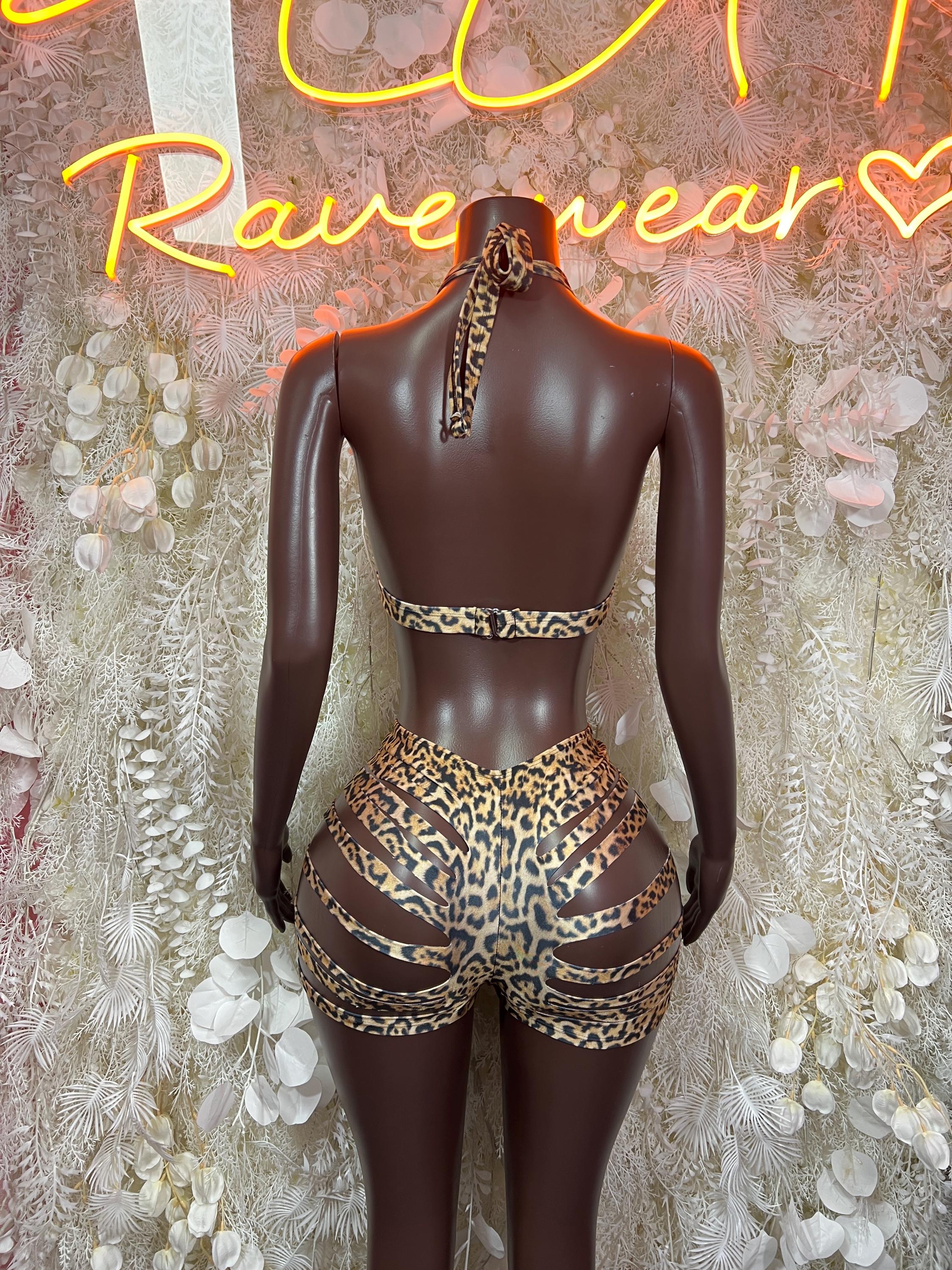 Leopard-print two-piece swimwear set, triangle bra back with matching high-waist bottoms